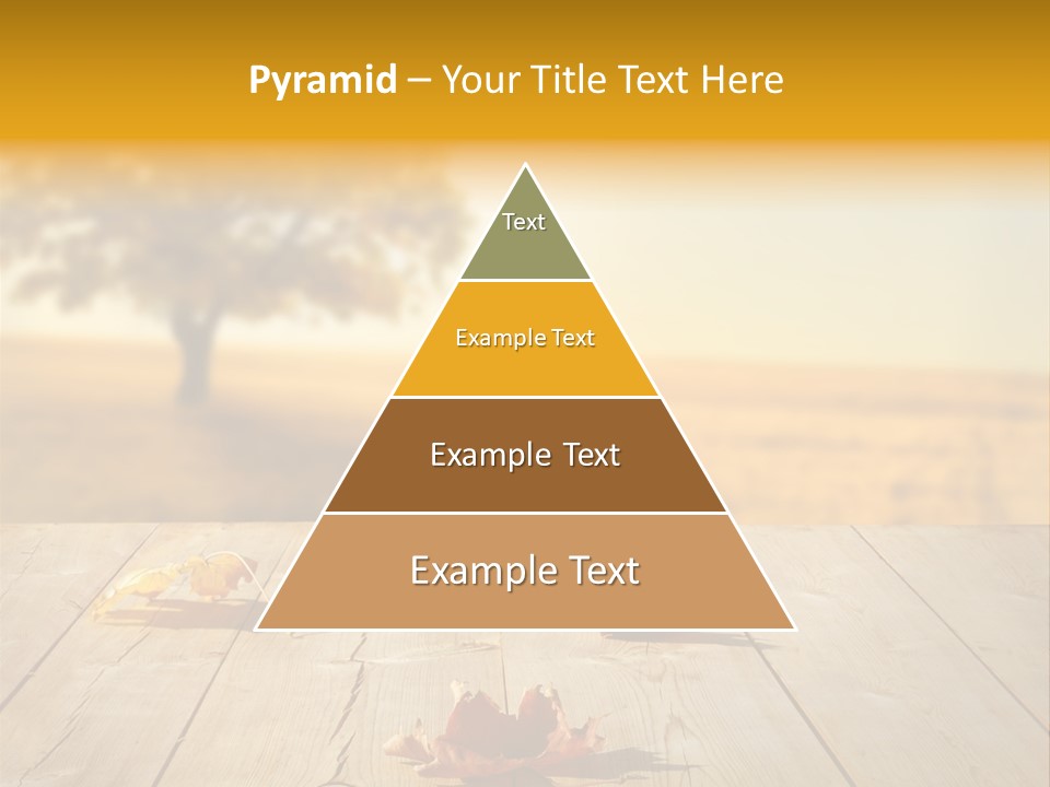 Vibrant Aged Park PowerPoint Template