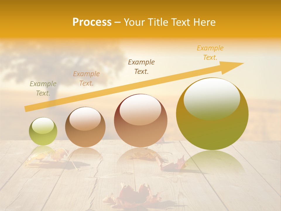 Vibrant Aged Park PowerPoint Template