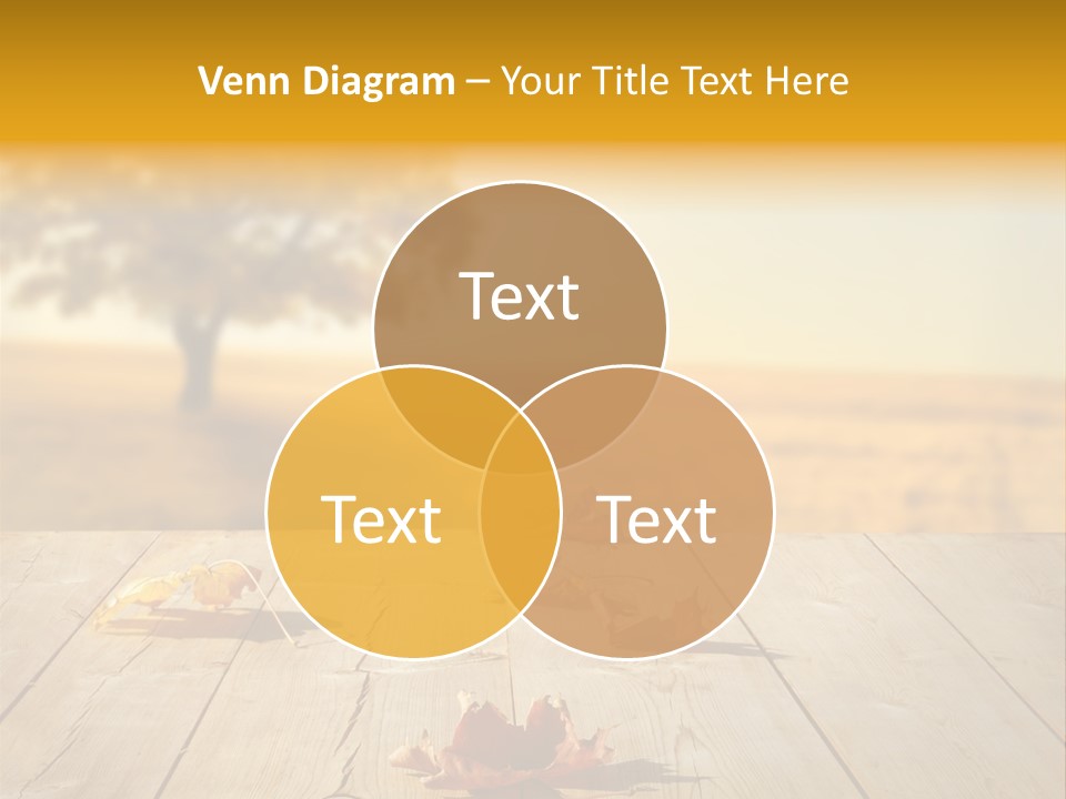 Vibrant Aged Park PowerPoint Template