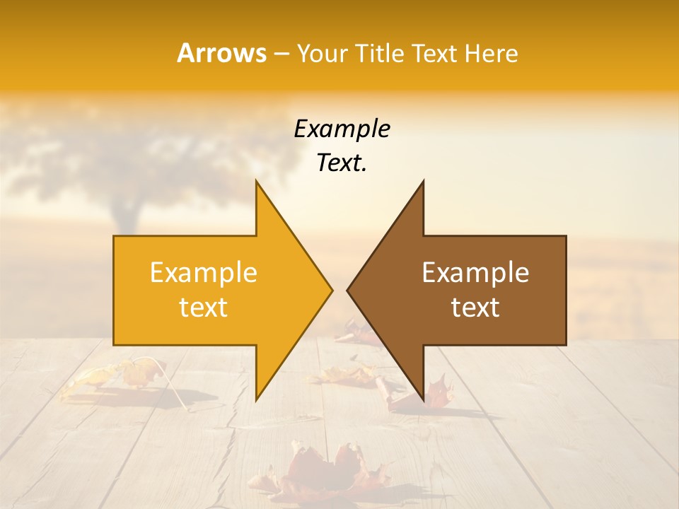 Vibrant Aged Park PowerPoint Template