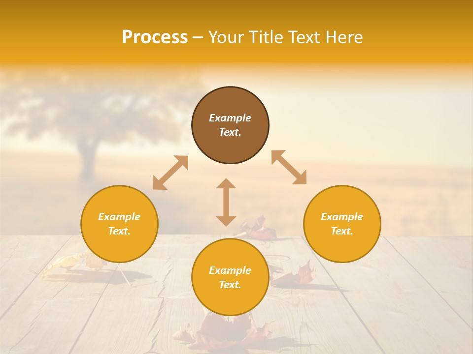 Vibrant Aged Park PowerPoint Template