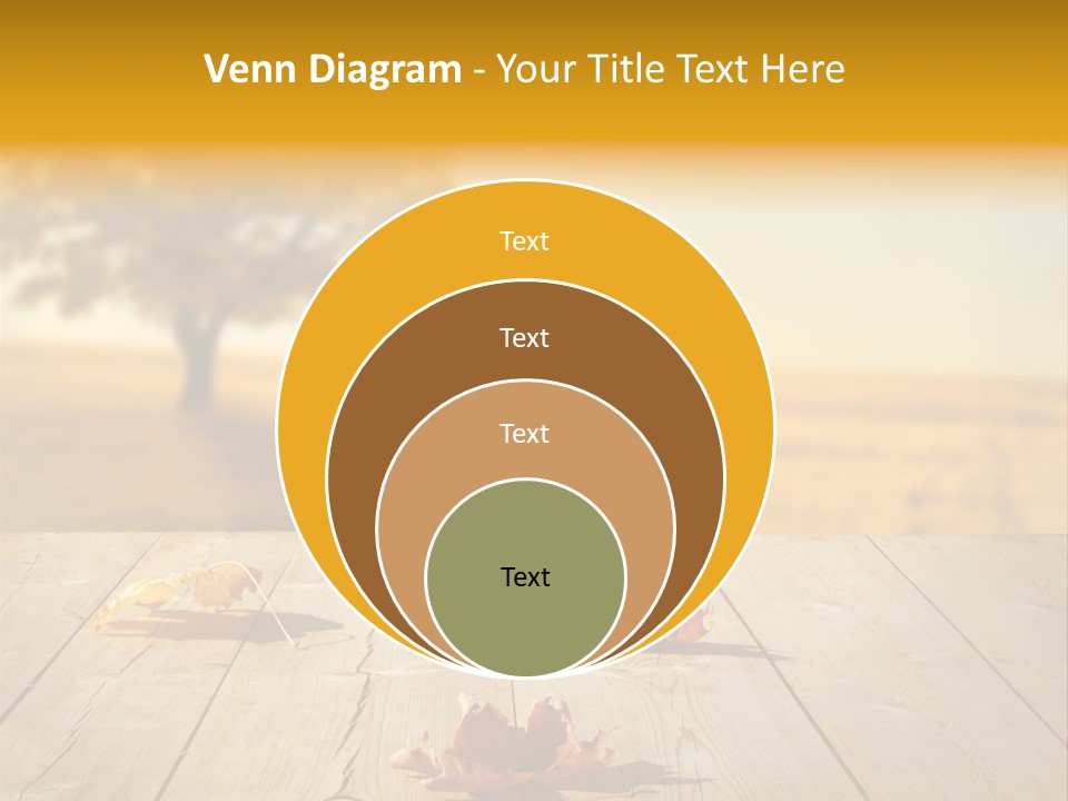 Vibrant Aged Park PowerPoint Template