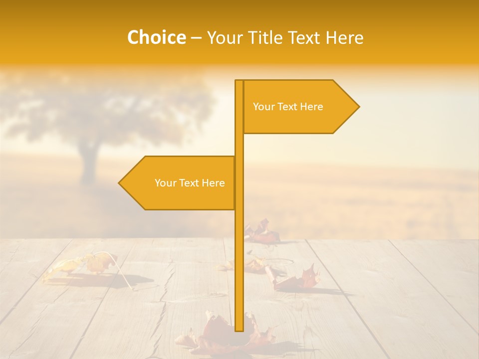Vibrant Aged Park PowerPoint Template