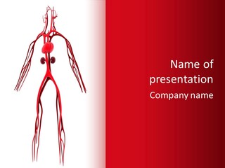 Circulation Anatomy Test PowerPoint Template