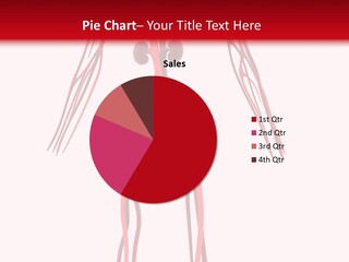 Circulation Anatomy Test PowerPoint Template