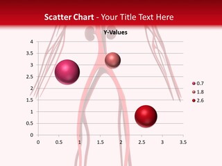 Circulation Anatomy Test PowerPoint Template