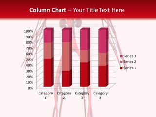 Circulation Anatomy Test PowerPoint Template