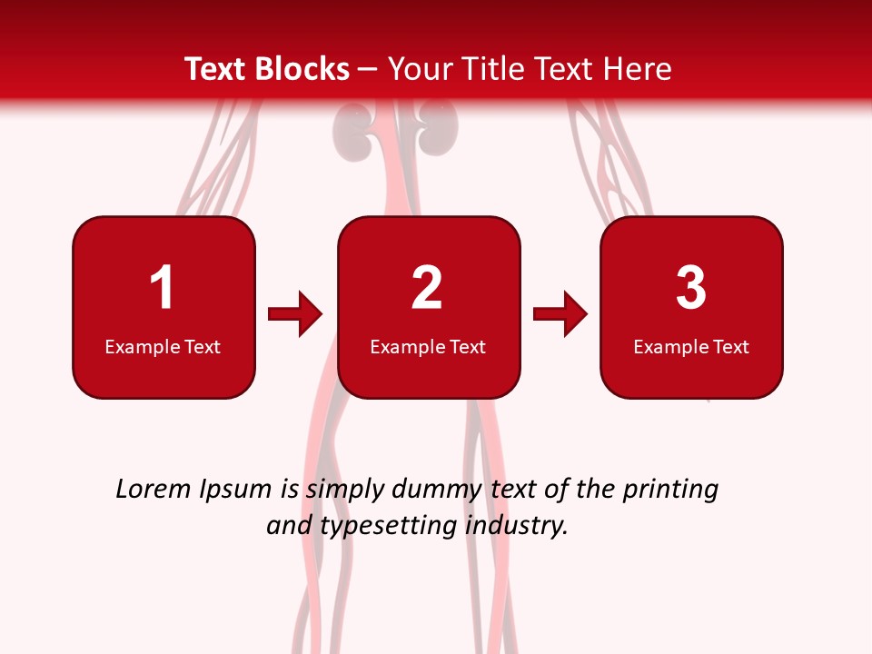 Circulation Anatomy Test PowerPoint Template