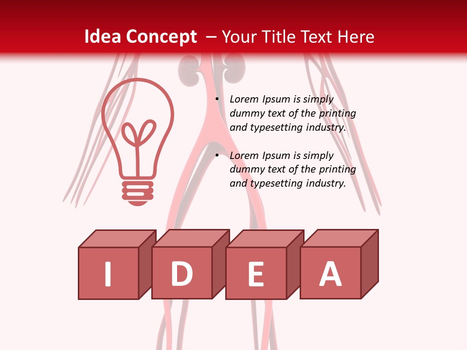 Circulation Anatomy Test PowerPoint Template