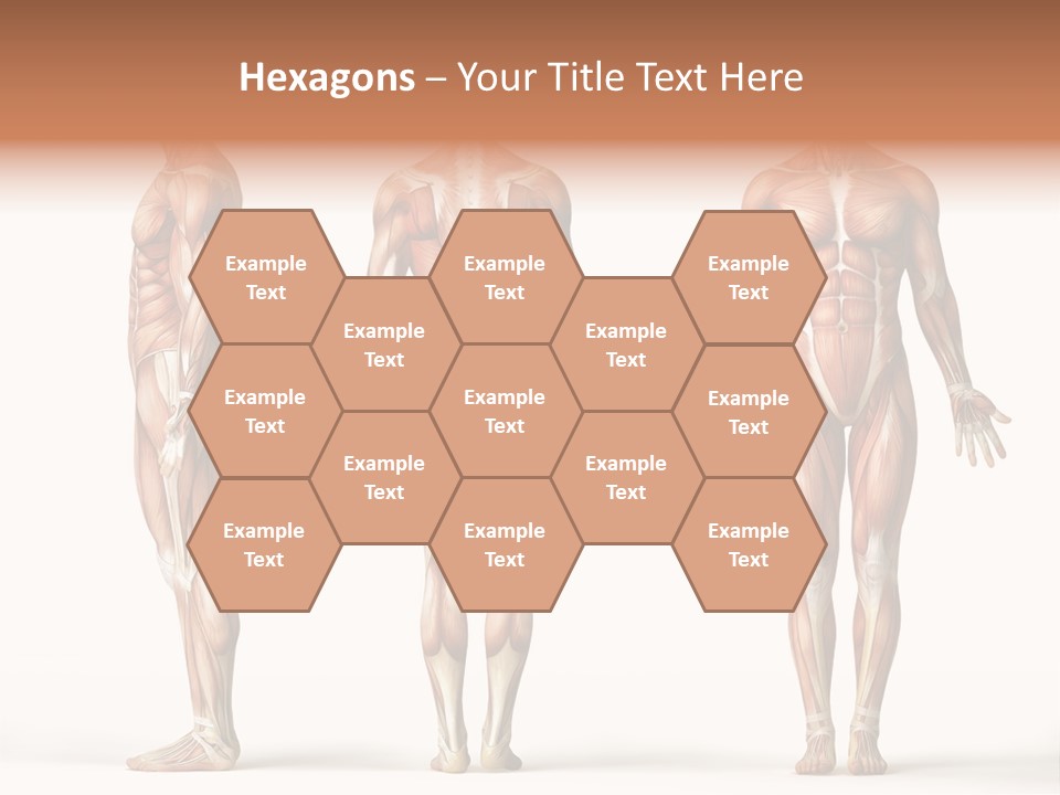 Profe Ional Boardroom Per On PowerPoint Template