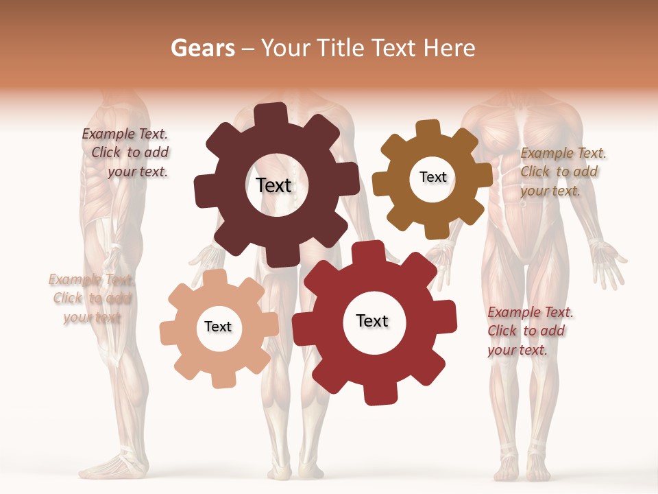 Profe Ional Boardroom Per On PowerPoint Template