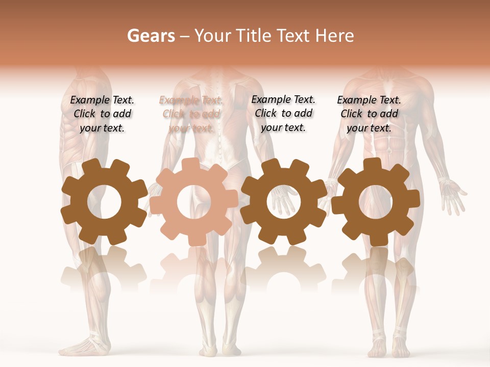 Profe Ional Boardroom Per On PowerPoint Template