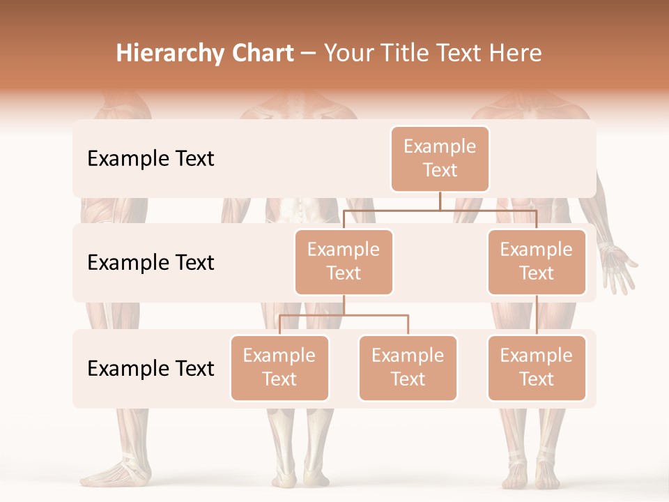 Profe Ional Boardroom Per On PowerPoint Template