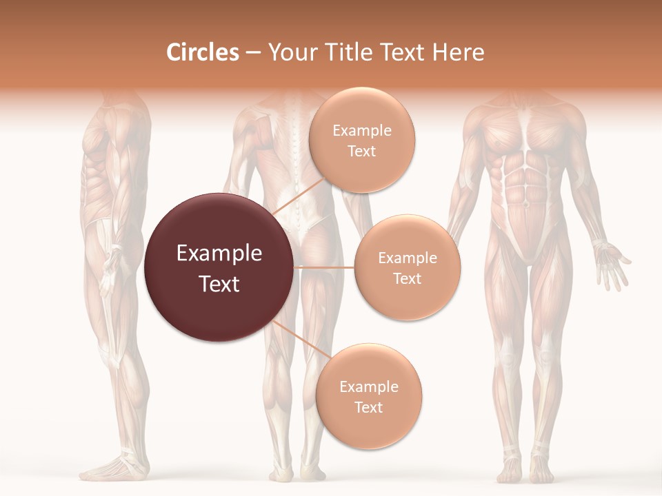 Profe Ional Boardroom Per On PowerPoint Template