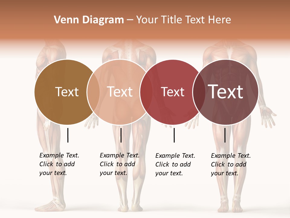 Profe Ional Boardroom Per On PowerPoint Template