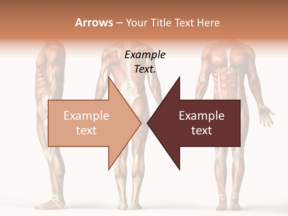 Profe Ional Boardroom Per On PowerPoint Template