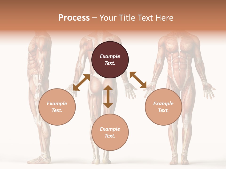 Profe Ional Boardroom Per On PowerPoint Template