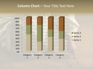 Sacred Jesuschrist Hands PowerPoint Template