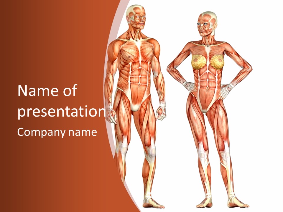 Render Medicine Illustration PowerPoint Template