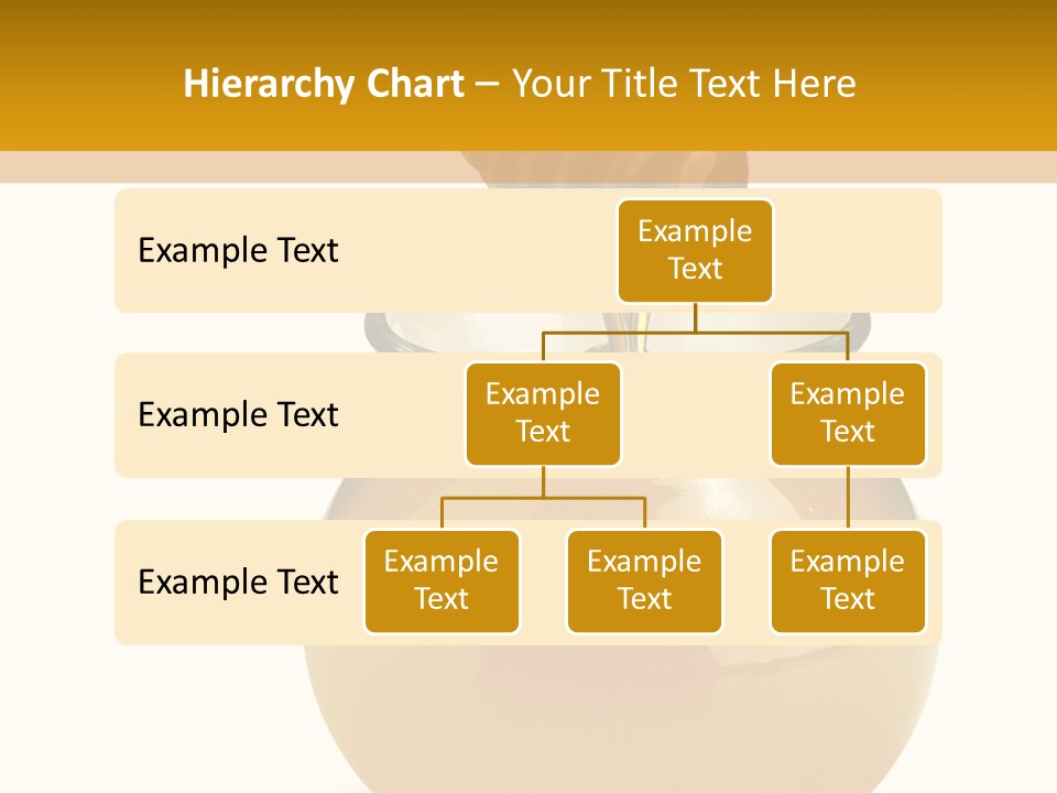 Bee Closeup Color PowerPoint Template