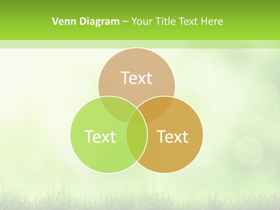 Plain Spring Beautiful PowerPoint Template