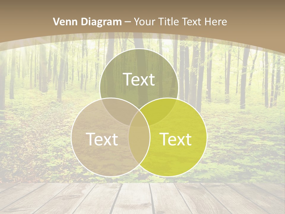 Table Colorful Light PowerPoint Template