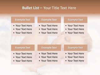 Health  People PowerPoint Template