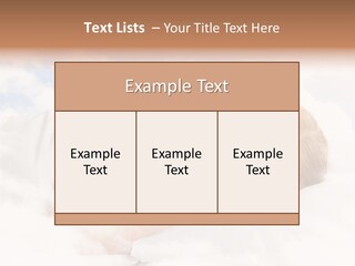 Health  People PowerPoint Template