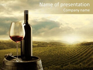 Still Life Bottle Wine Bottle PowerPoint Template