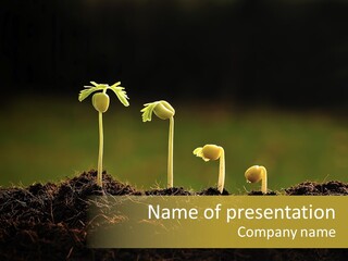Plant Spring Environmental PowerPoint Template