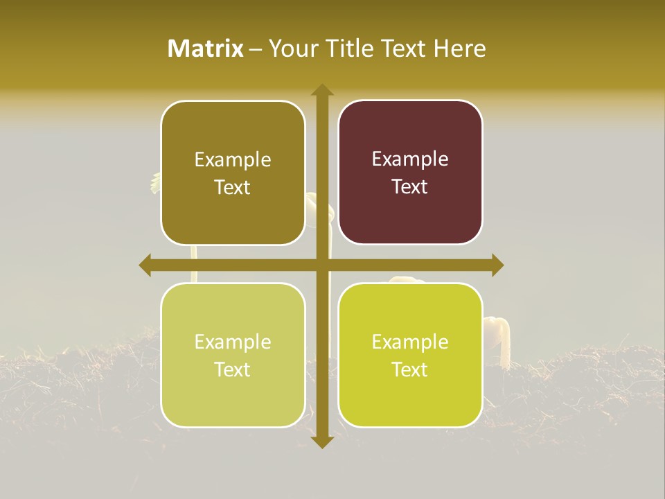 Plant Spring Environmental PowerPoint Template
