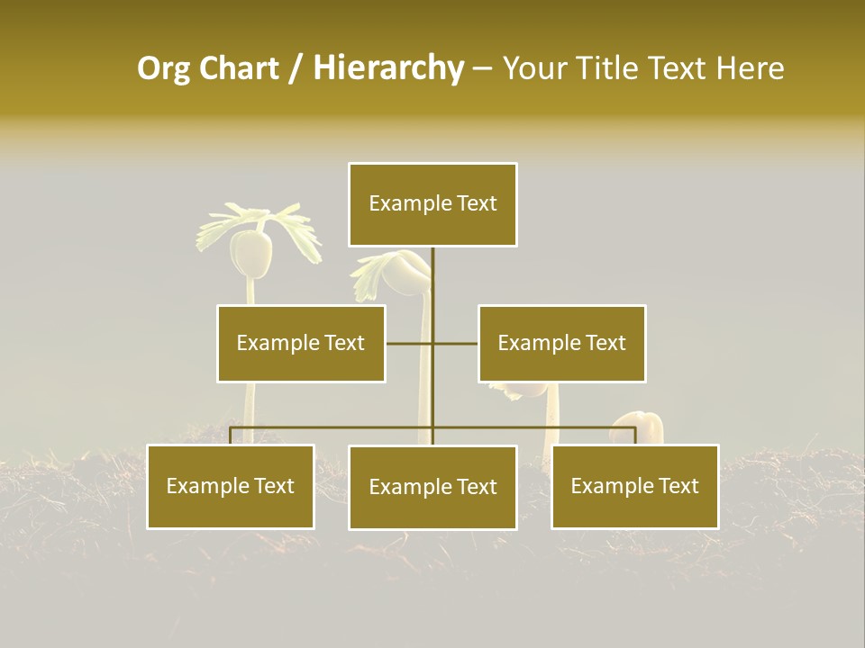 Plant Spring Environmental PowerPoint Template