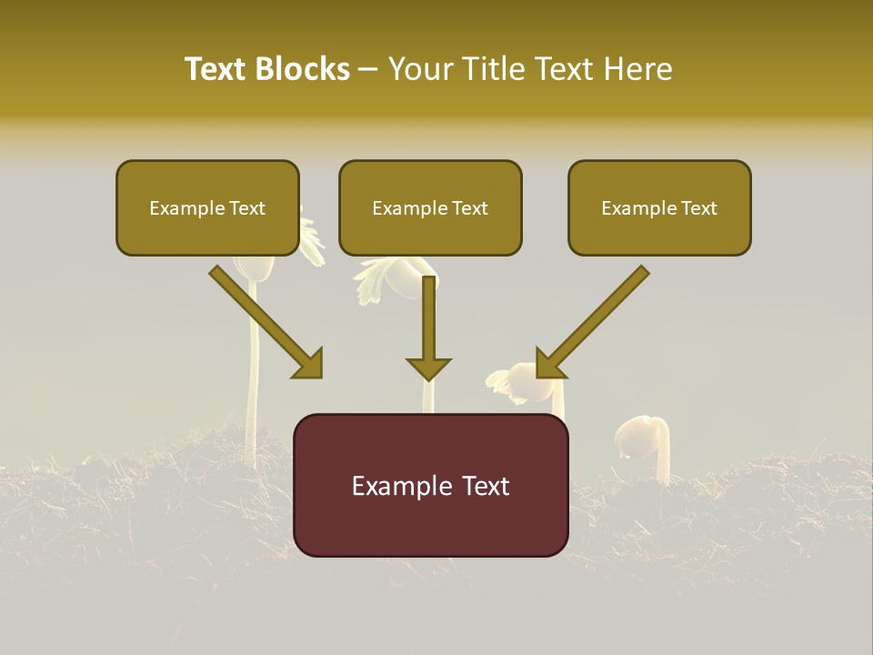 Plant Spring Environmental PowerPoint Template