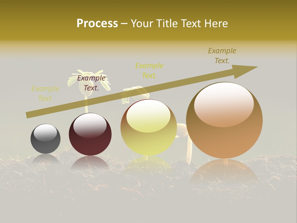 Plant Spring Environmental PowerPoint Template