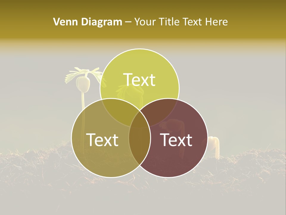 Plant Spring Environmental PowerPoint Template