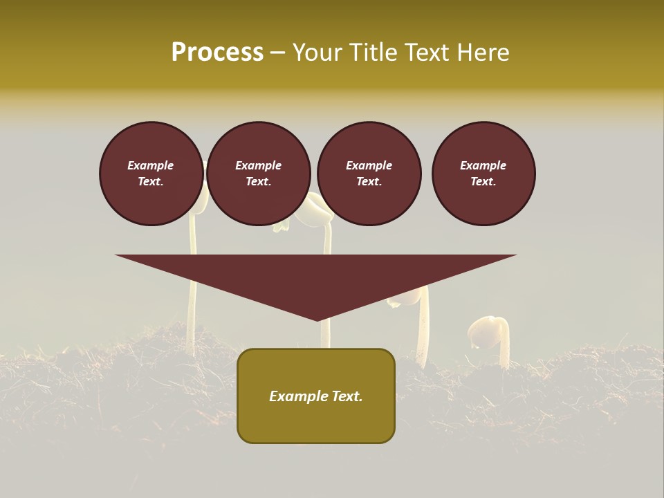Plant Spring Environmental PowerPoint Template