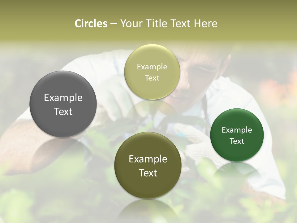 Secateurs Gardener Blue Collar PowerPoint Template