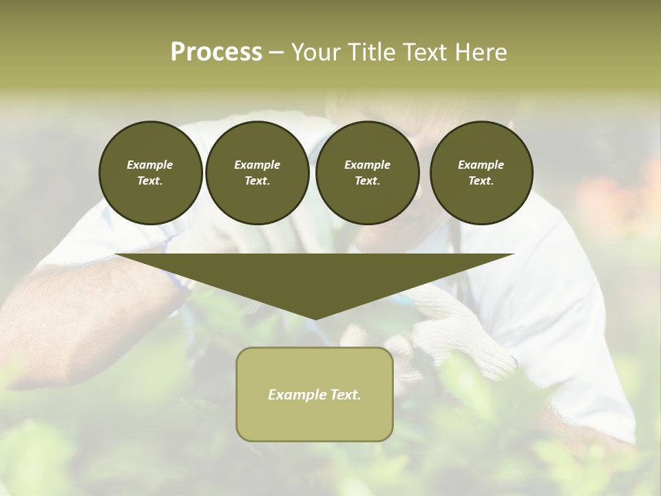 Secateurs Gardener Blue Collar PowerPoint Template