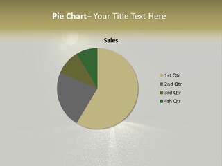 Pine South Accessibility PowerPoint Template