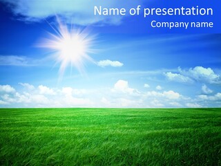 Field Grass Nature PowerPoint Template