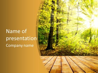 Backlit Set Wooden PowerPoint Template