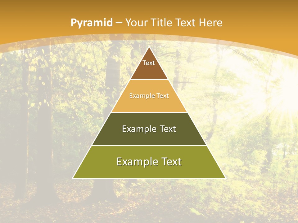 Backlit Set Wooden PowerPoint Template