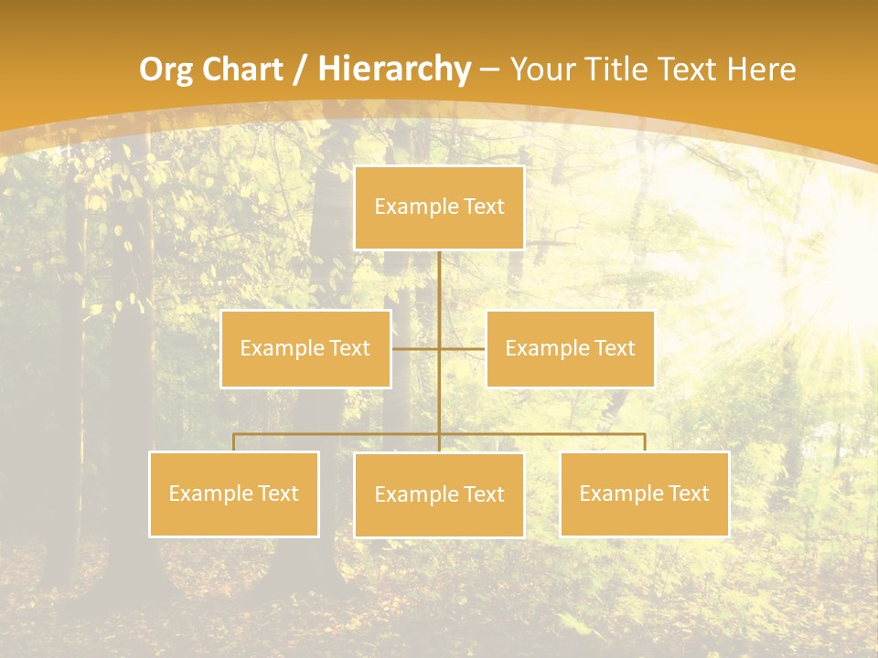 Backlit Set Wooden PowerPoint Template