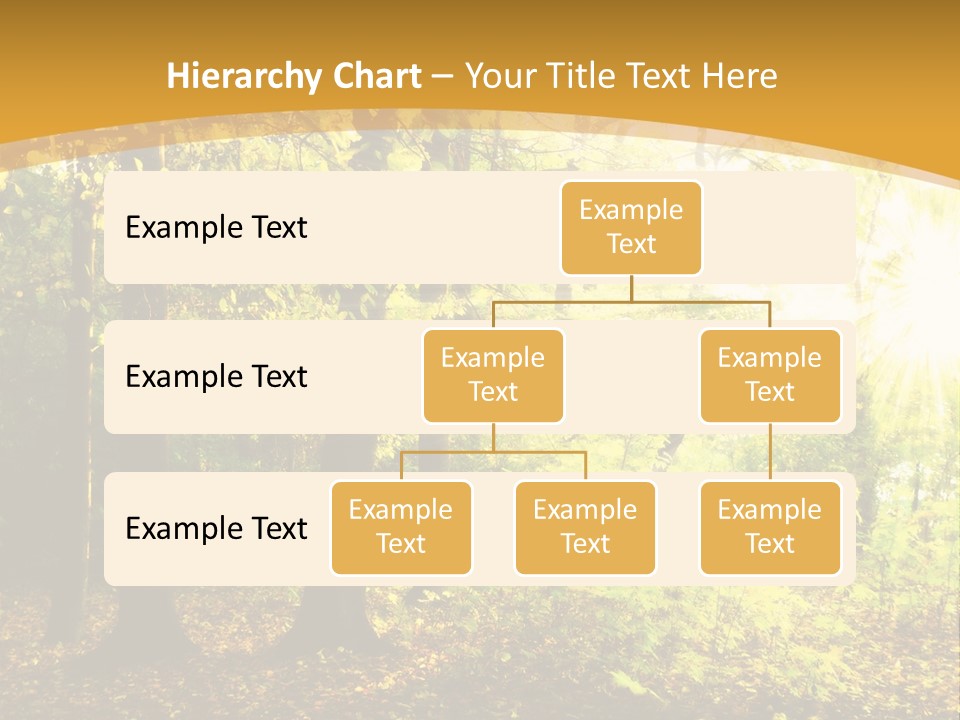 Backlit Set Wooden PowerPoint Template