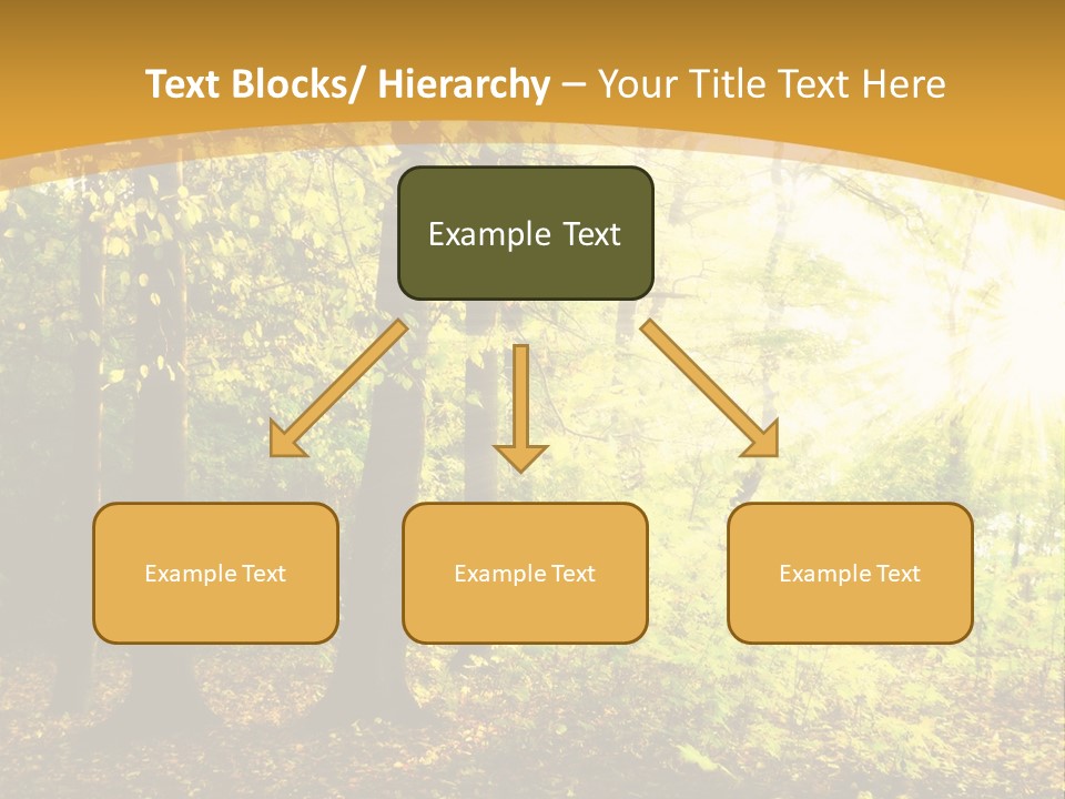 Backlit Set Wooden PowerPoint Template