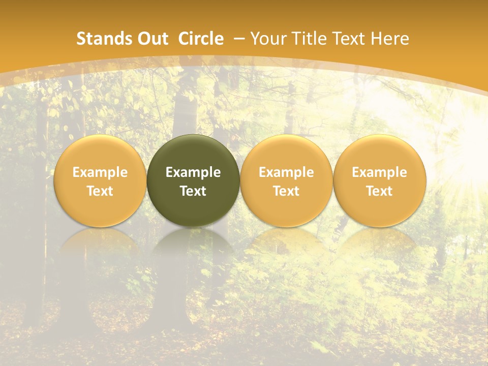 Backlit Set Wooden PowerPoint Template