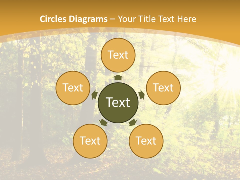 Backlit Set Wooden PowerPoint Template