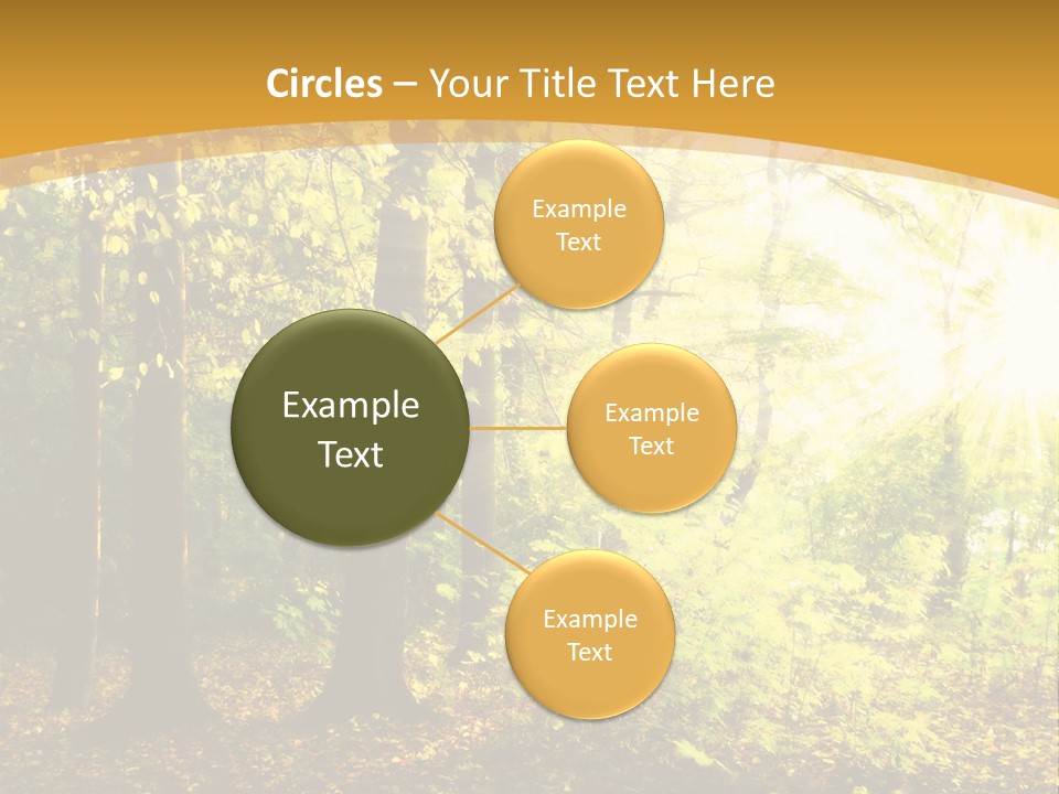 Backlit Set Wooden PowerPoint Template