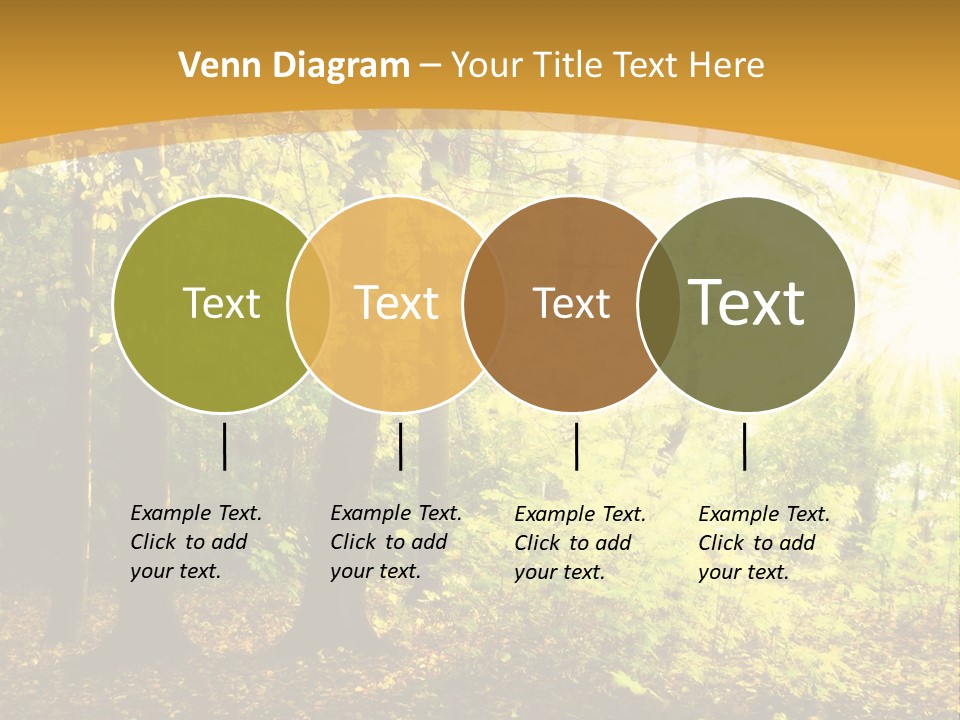 Backlit Set Wooden PowerPoint Template