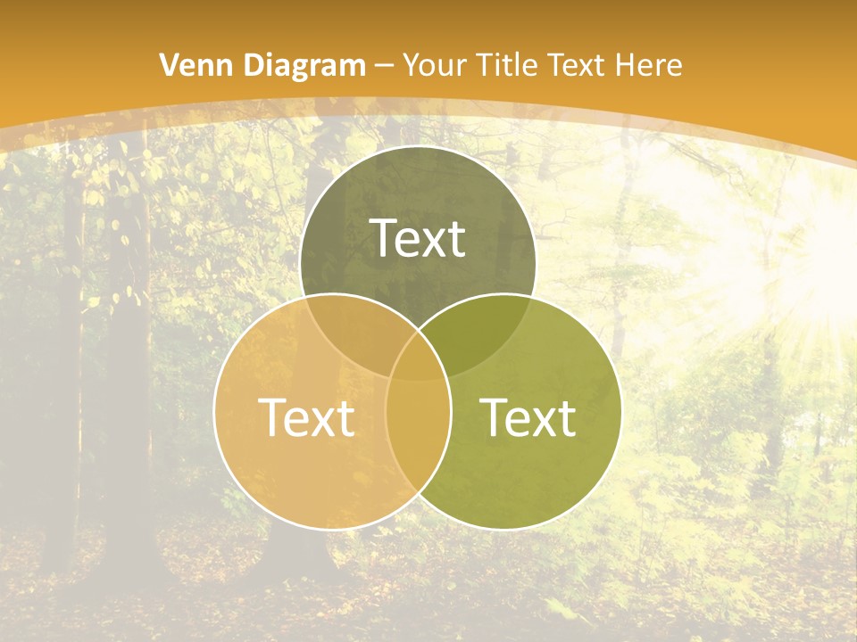 Backlit Set Wooden PowerPoint Template